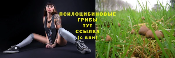 дмт Покровск