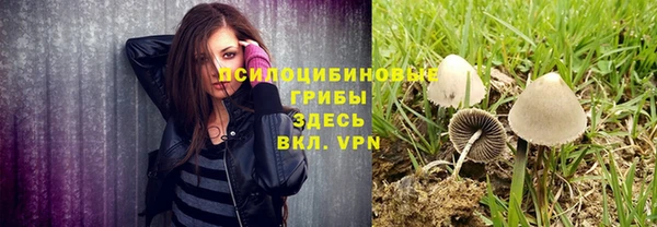 дмт Покровск